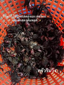 ครัวริมวัง.com ร้านอาหารคาเฟ่ 32